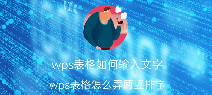 wps表格如何输入文字 wps表格怎么弄两竖排字？